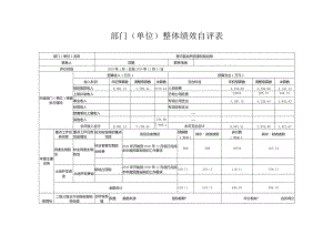 部门单位整体绩效自评表.docx