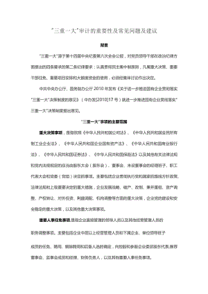 “三重一大”审计的重要性及常见问题及建议.docx
