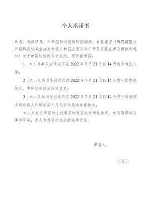 个人承诺书.docx
