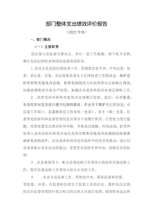 部门整体支出绩效评价报告.docx