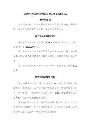 房地产公司营销中心项目定名审批管理办法.docx