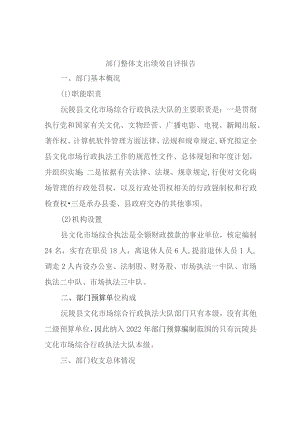 部门整体支出绩效自评报告.docx
