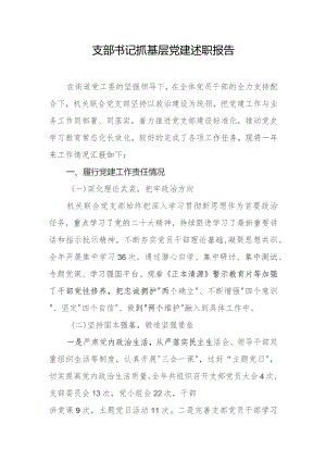 支部书记抓基层党建述职报告.docx