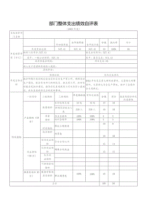 部门整体支出绩效自评表.docx