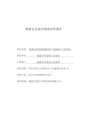 财政支出项目绩效评价报告.docx