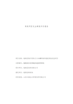 财政项目支出绩效评价报告.docx