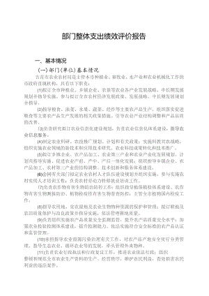 部门整体支出绩效评价报告.docx