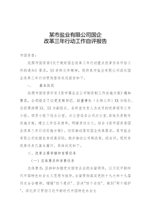 国企改革三年行动工作自评报告.docx