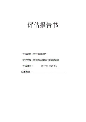 评估报告书.docx