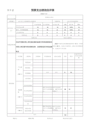 预算支出绩效自评表.docx