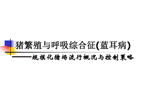 猪的繁殖与呼吸综合征的防制.ppt