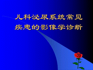 儿科泌尿系统常见疾患的影像学诊断.ppt