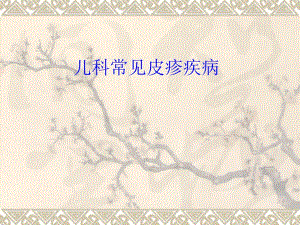 儿科常见皮疹疾病讲义.ppt