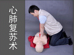 心肺复苏术救护新概念.ppt