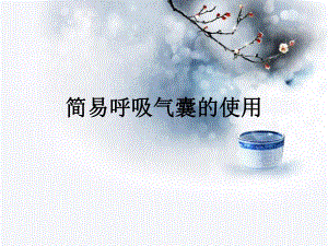 简易呼吸气囊的使用.ppt