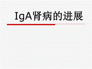 IgA肾病.ppt.ppt