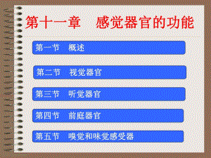 感觉器官的功能.ppt