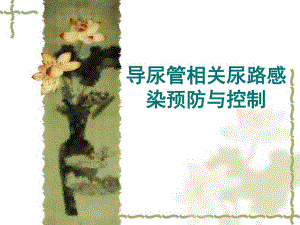 导尿管相关尿路感染预防与控制.ppt.ppt
