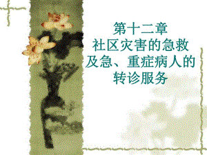 重症病人的转诊服务.ppt.ppt