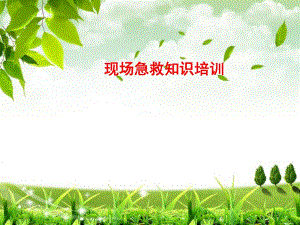 现场急救知识培训.ppt