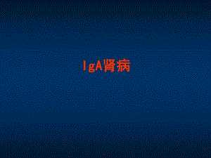 内科学笔记——IgA肾病幻灯.ppt.ppt