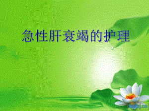 急性肝衰竭的护理精要.ppt