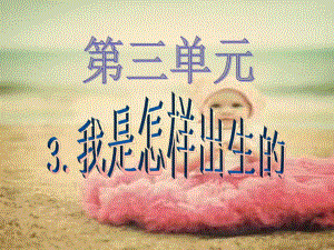 婴儿的出生过程培训教学PPT我是怎样出生的.ppt