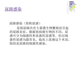 尿路感染的诊治与健康宣教.ppt