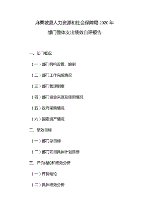 麻栗坡县人力资源和社会保障局2020年部门整体支出绩效自评报告.docx