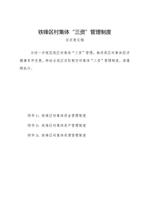 铁锋区村集体“三资”管理制度.docx