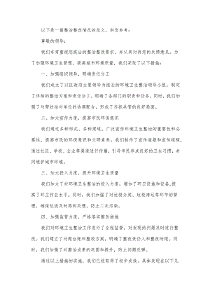 整治整改情况.docx