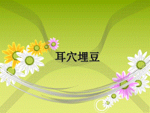耳穴埋豆.ppt