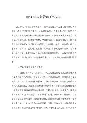 某地区2024年应急管理工作要点.docx
