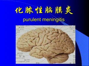 化脓性脑膜炎1.ppt
