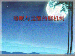 睡眠与觉醒的脑机制.ppt