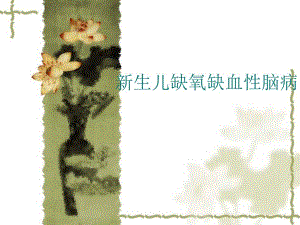 新生儿缺氧缺血性脑病 幻灯片1.ppt