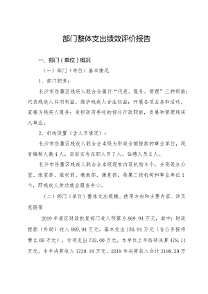 部门整体支出绩效评价报告.docx