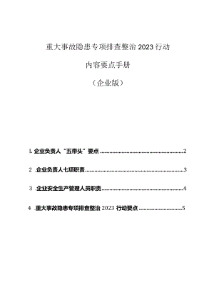 重大事故隐患专项排查整治 2023 行动：企业负责人“五带头”+七项职责+安全管理员职责+行动要点.docx