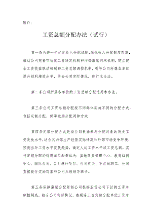 工资总额分配办法（试行）.docx