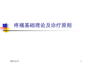 疼痛基础理论及诊疗原则.ppt