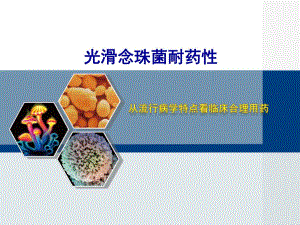 光滑念珠菌耐药性分析.ppt