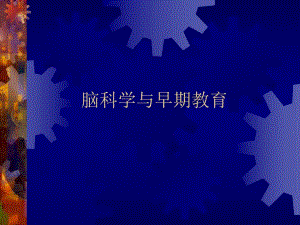 脑科学与早期教育(儿科).ppt.ppt