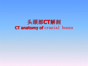 头颈部断层解剖.ppt