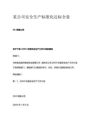 某公司安全生产标准化达标全套.docx