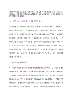 主题教育开展情况及学习体会集中研讨会发言材料.docx