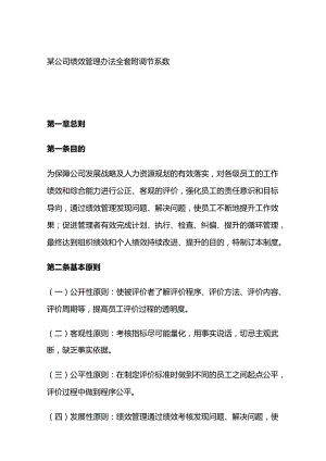 某公司绩效管理办法全套附调节系数.docx