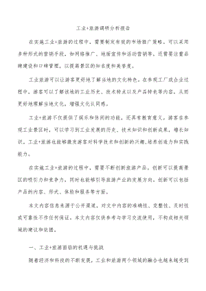 工业+旅游调研分析报告.docx