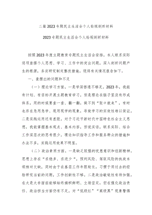 二篇2023专题民主生活会个人检视剖析材料.docx