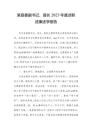 某县委副书记、县长2023年度述职述廉述学报告.docx