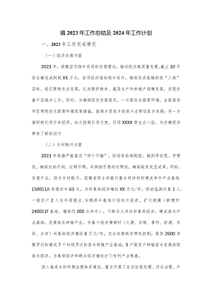 镇2023年工作总结及2024年工作计划.docx